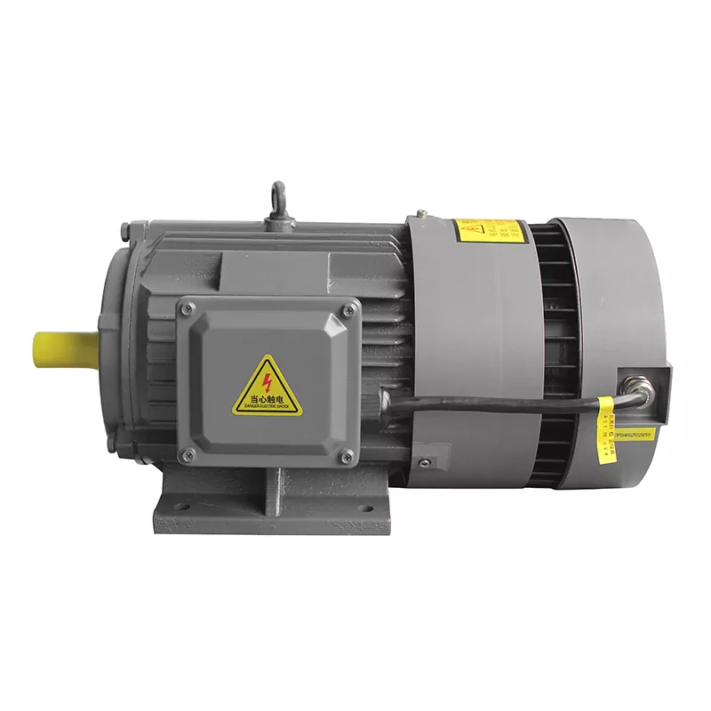 Integrert variabel frekvens PMSM: The Future of Electric Motors